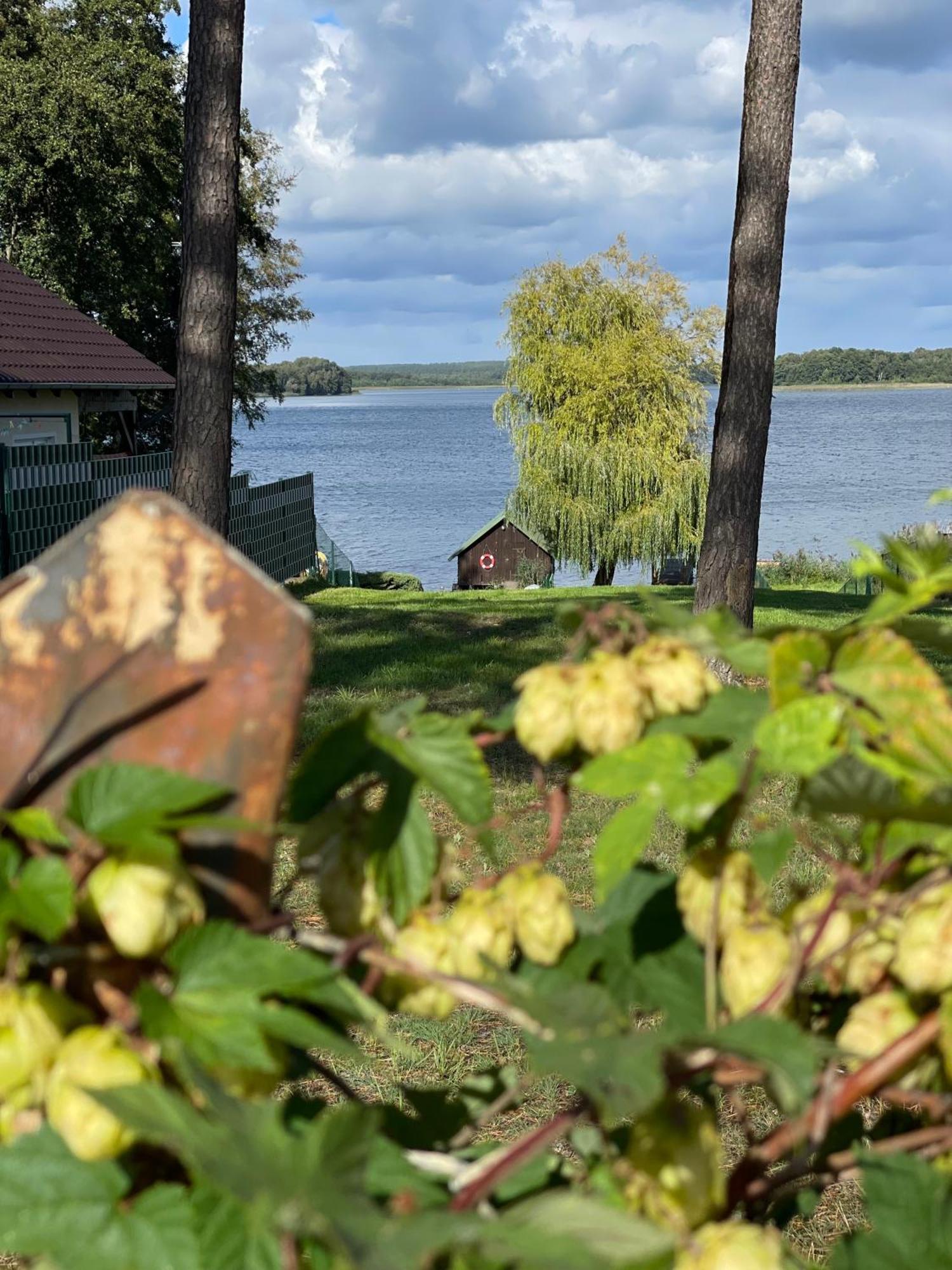 Urlaub Am Plaetlinsee - Haus Odin Wustrow  外观 照片