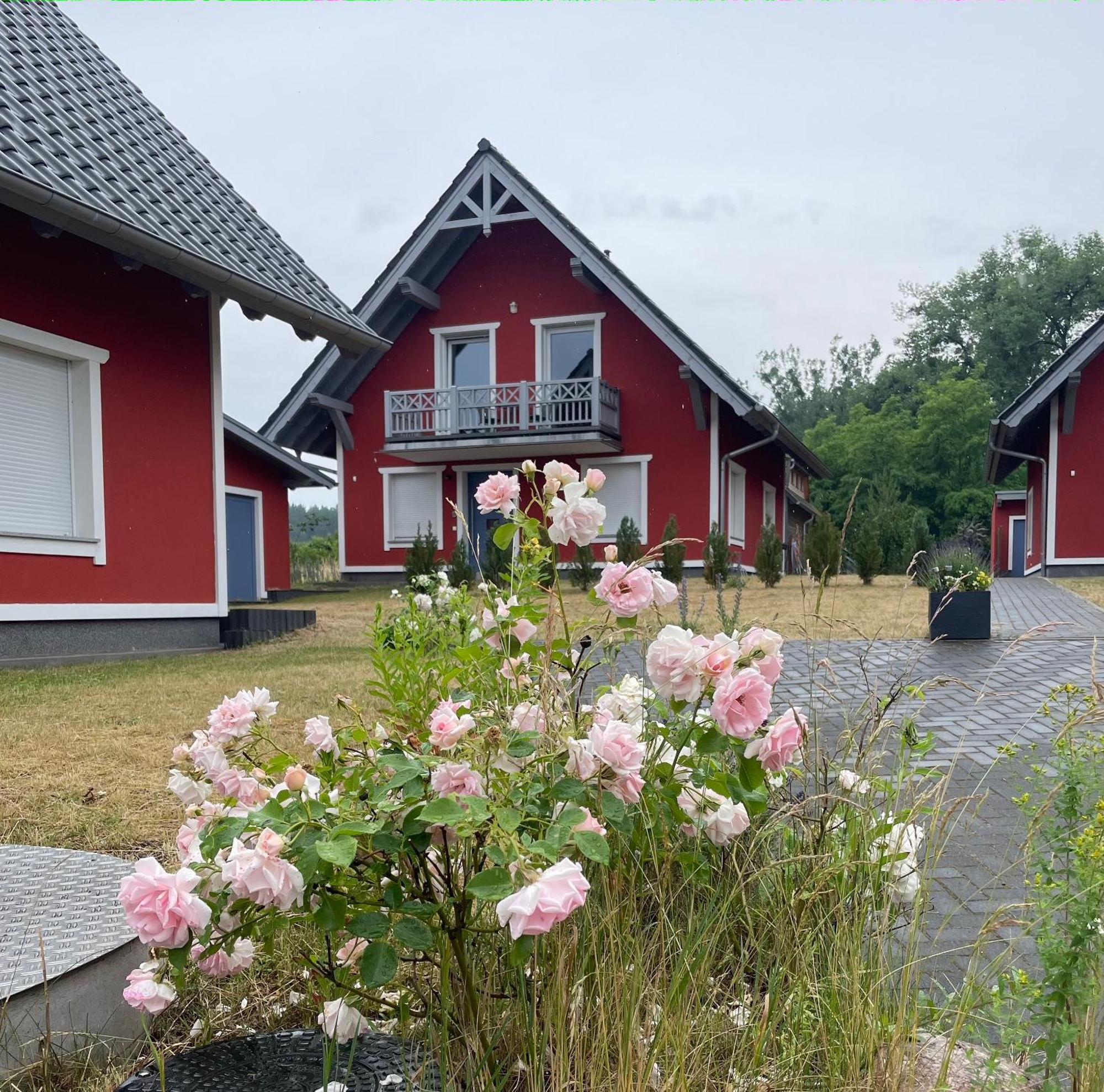 Urlaub Am Plaetlinsee - Haus Odin Wustrow  外观 照片